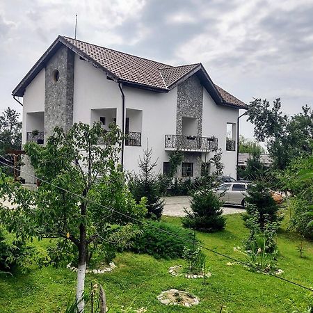 Pensiunea Codruta Cărpinişu المظهر الخارجي الصورة