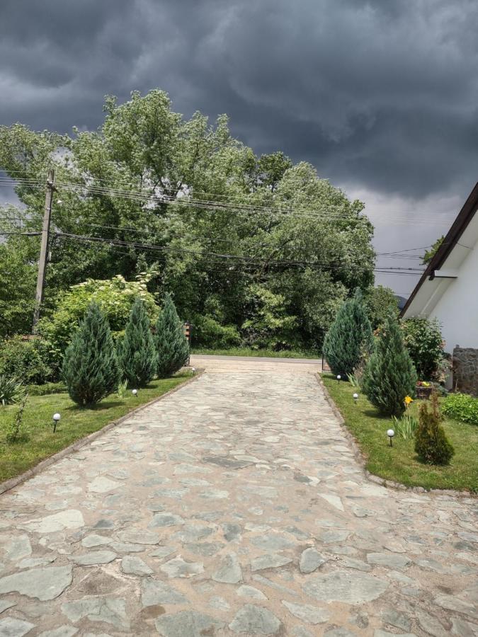 Pensiunea Codruta Cărpinişu المظهر الخارجي الصورة