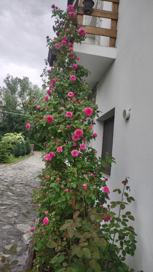 Pensiunea Codruta Cărpinişu المظهر الخارجي الصورة