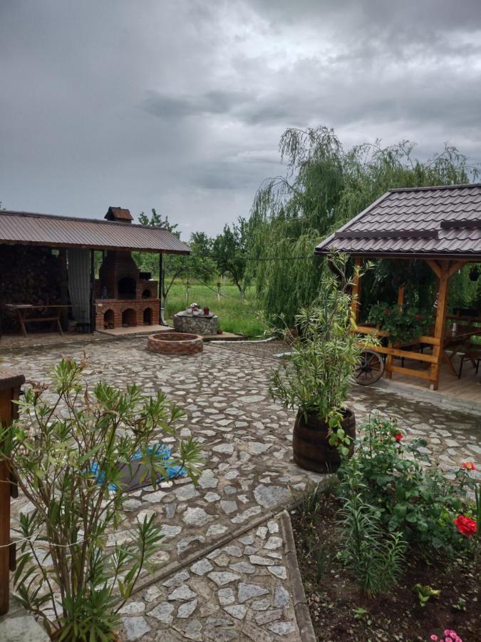 Pensiunea Codruta Cărpinişu المظهر الخارجي الصورة