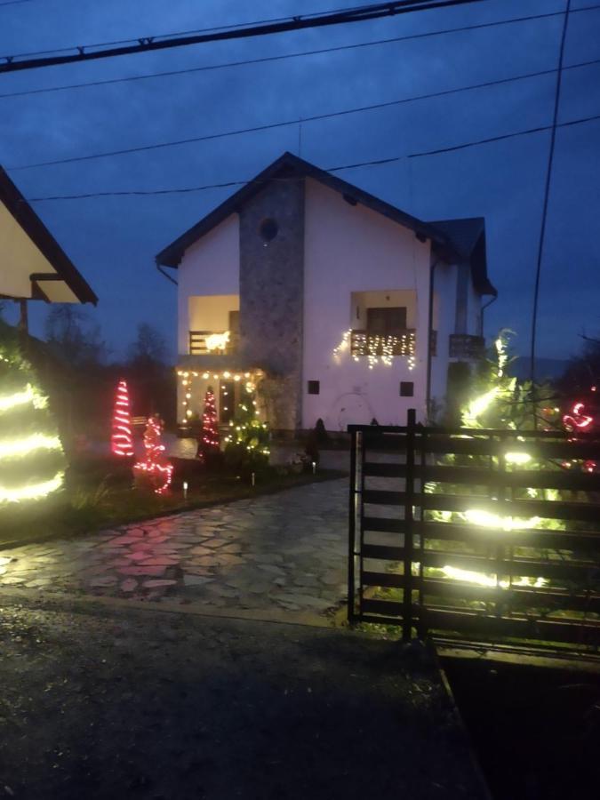 Pensiunea Codruta Cărpinişu المظهر الخارجي الصورة