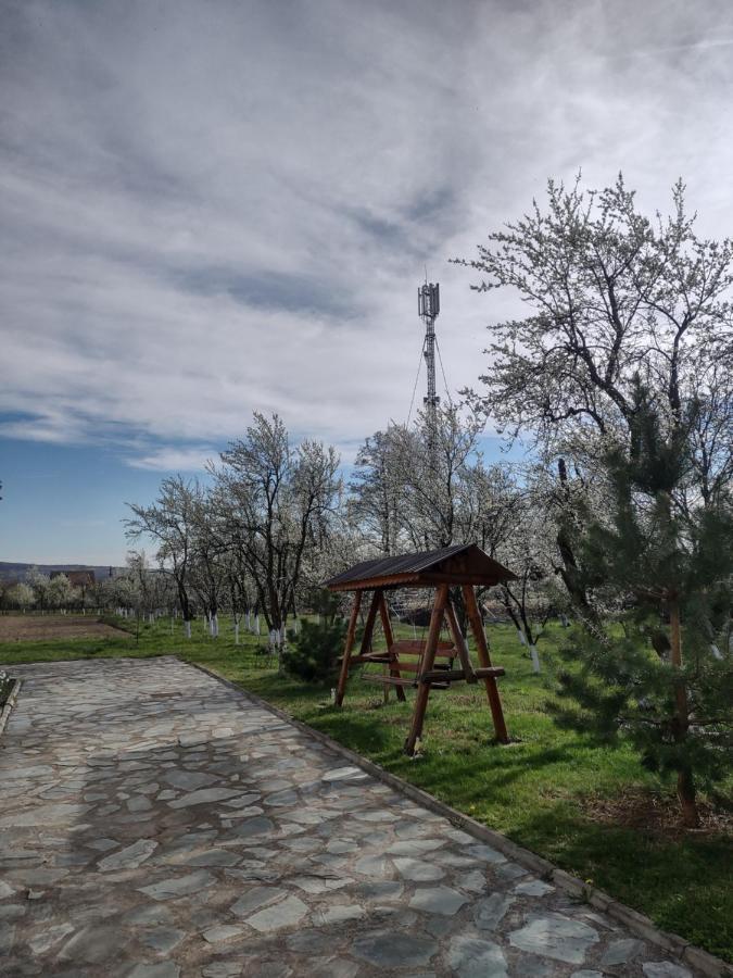 Pensiunea Codruta Cărpinişu المظهر الخارجي الصورة