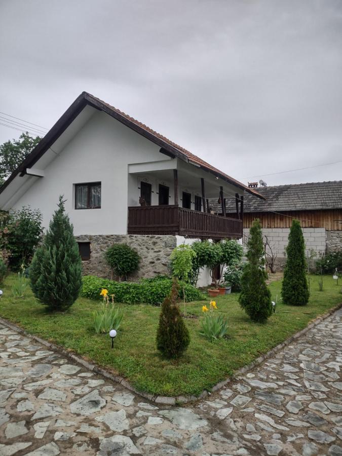 Pensiunea Codruta Cărpinişu المظهر الخارجي الصورة