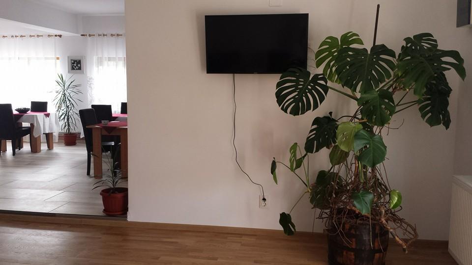 Pensiunea Codruta Cărpinişu المظهر الخارجي الصورة