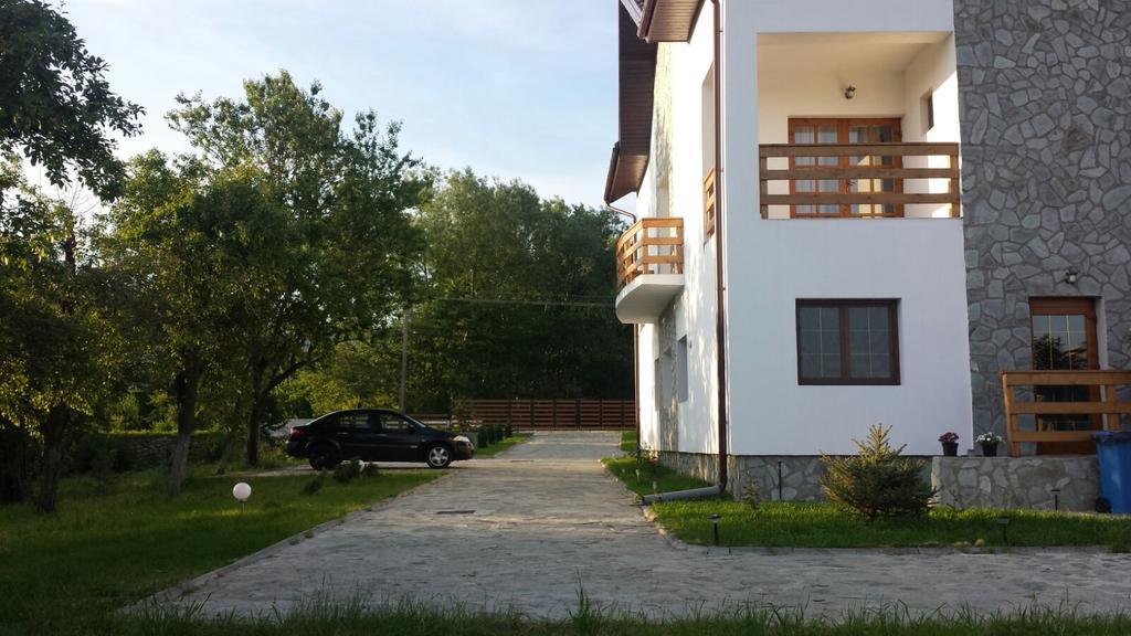 Pensiunea Codruta Cărpinişu المظهر الخارجي الصورة