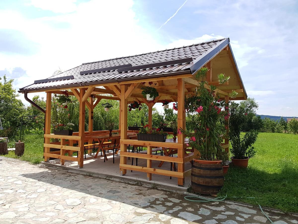 Pensiunea Codruta Cărpinişu المظهر الخارجي الصورة